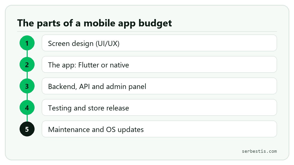 The parts of a mobile app budget